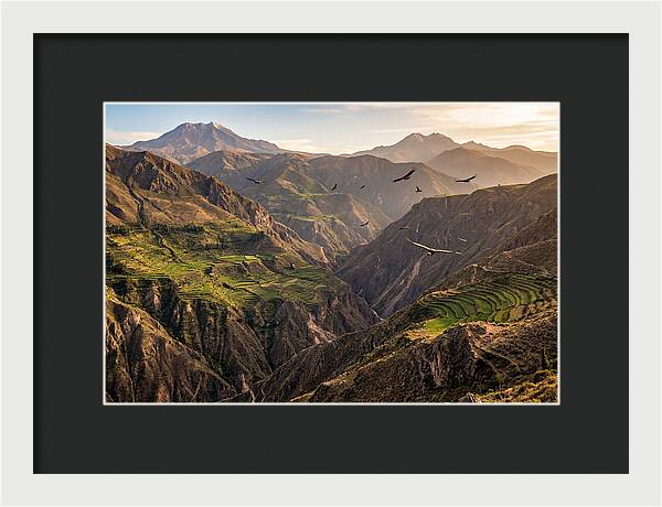Colca Canyon Majesty