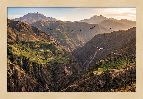 Colca Canyon Majesty