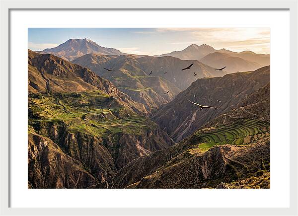 Colca Canyon Majesty