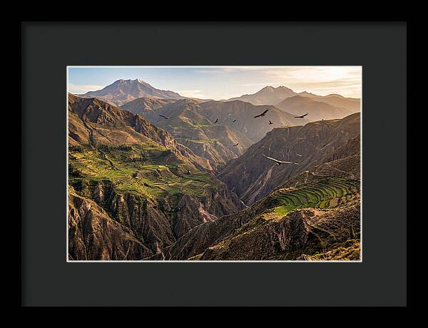 Colca Canyon Majesty