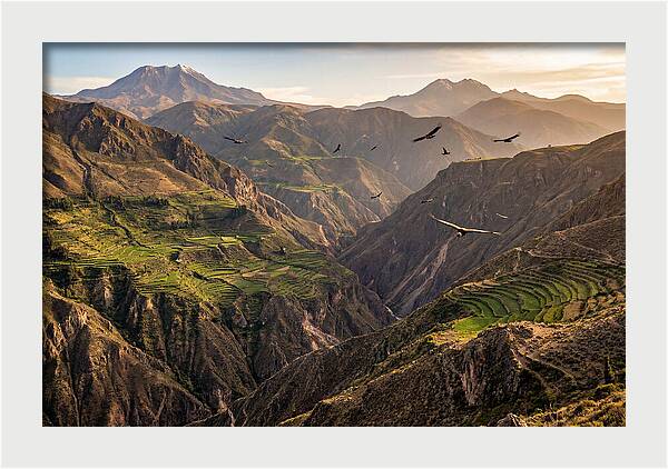 Colca Canyon Majesty