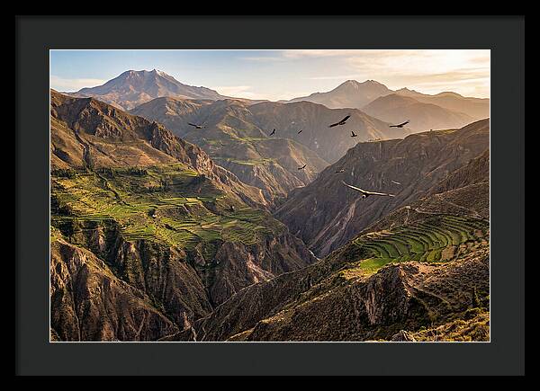 Colca Canyon Majesty