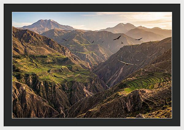 Colca Canyon Majesty