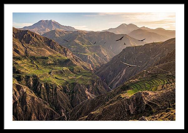 Colca Canyon Majesty