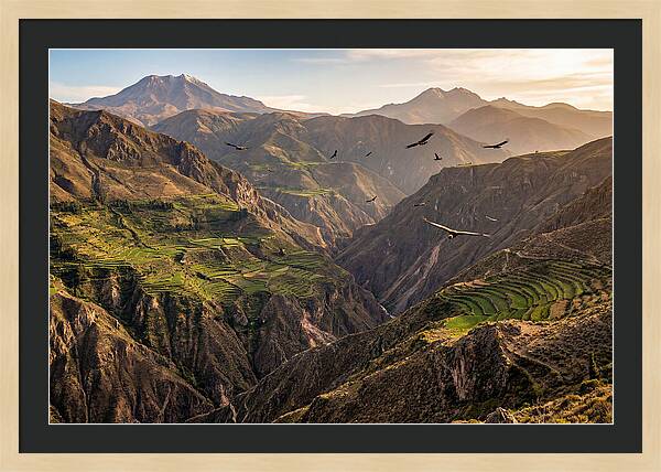 Colca Canyon Majesty