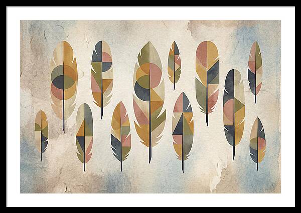 Collection Of Feathers