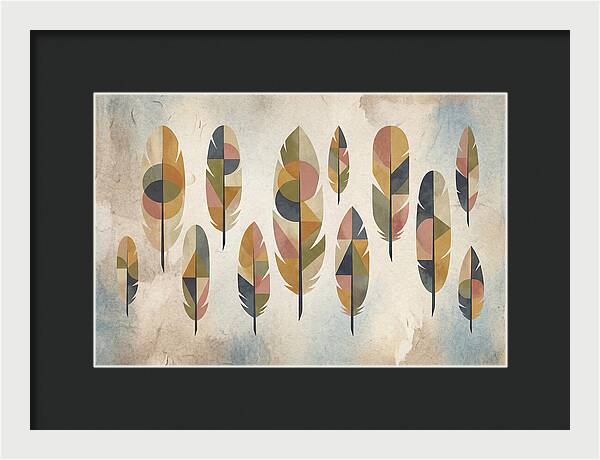 Collection Of Feathers
