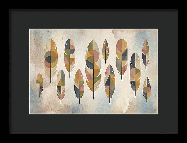 Collection Of Feathers