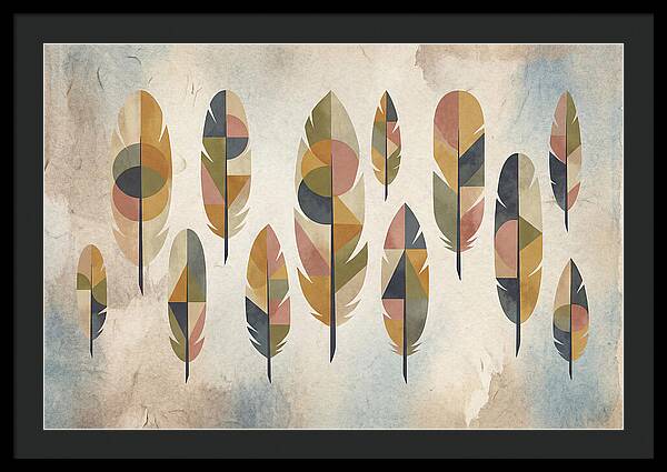Collection Of Feathers