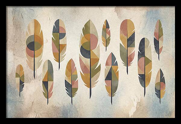 Collection Of Feathers