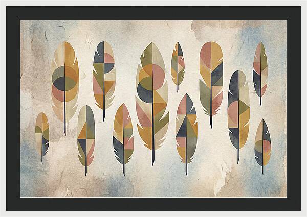 Collection Of Feathers