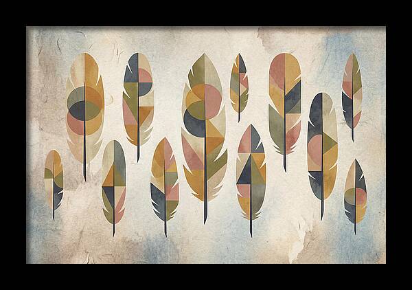 Collection Of Feathers
