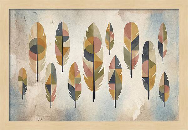 Collection Of Feathers