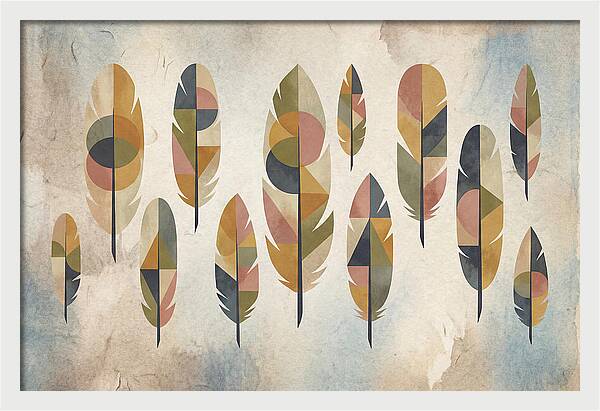Collection Of Feathers