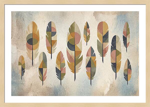 Collection Of Feathers