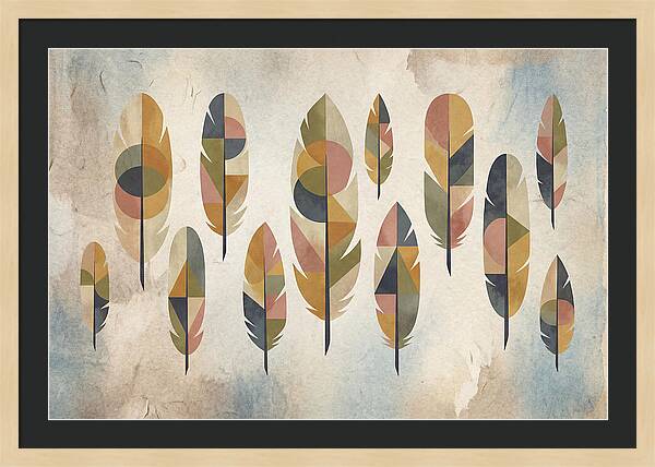 Collection Of Feathers