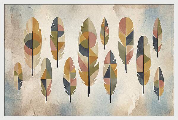 Collection Of Feathers