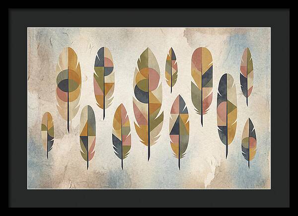 Collection Of Feathers