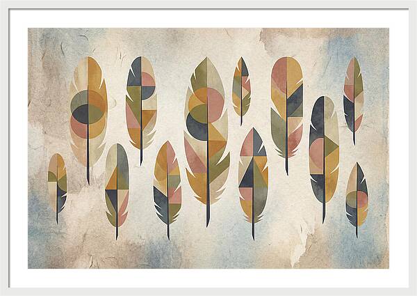 Collection Of Feathers