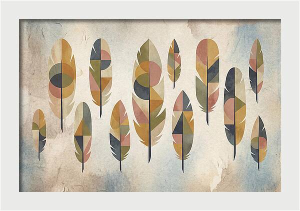 Collection Of Feathers