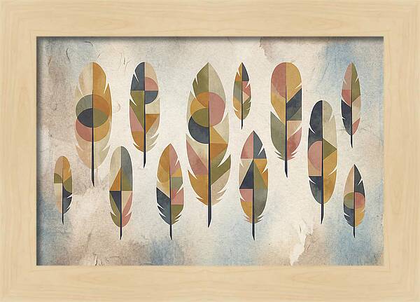 Collection Of Feathers