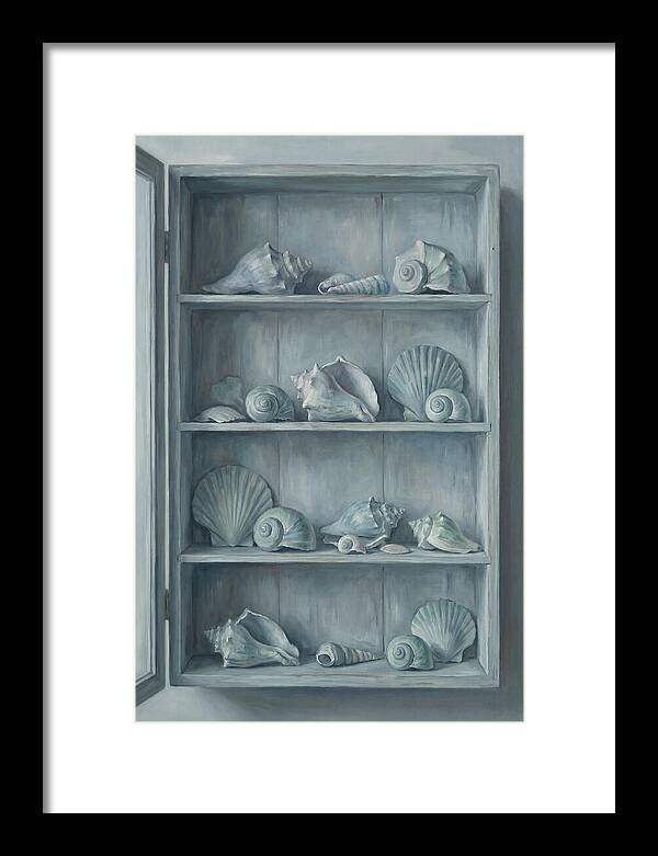 Collection Of Sea Shells