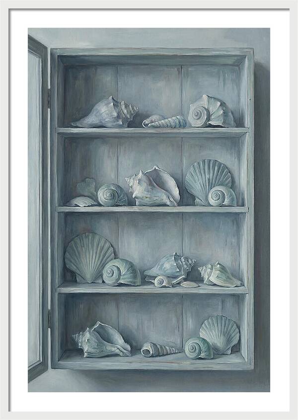 Collection Of Sea Shells