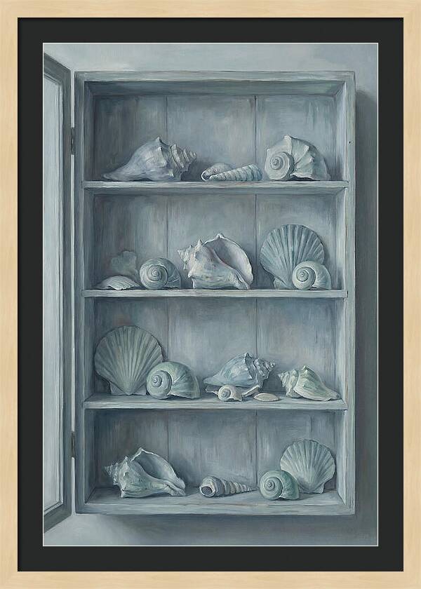 Collection Of Sea Shells