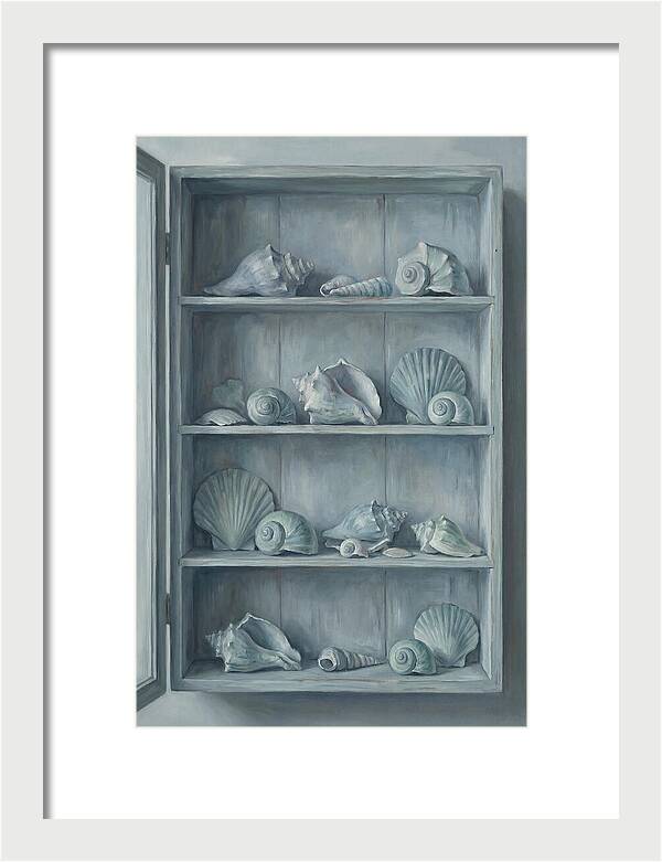 Collection Of Sea Shells