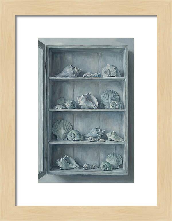 Collection Of Sea Shells