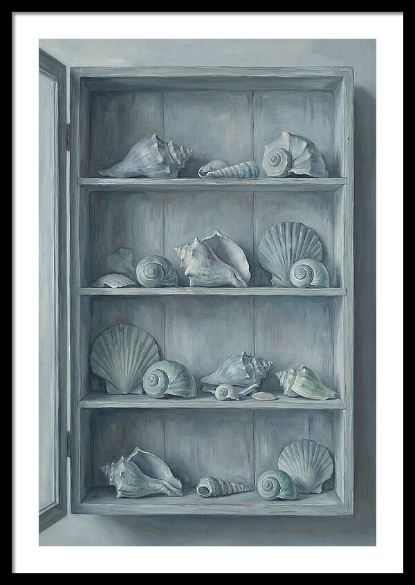 Collection Of Sea Shells