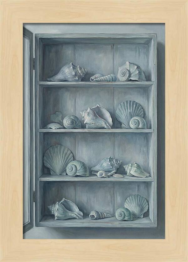 Collection Of Sea Shells