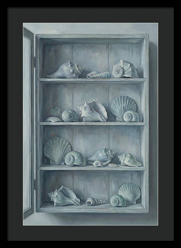 Collection Of Sea Shells