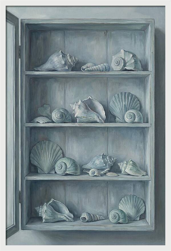 Collection Of Sea Shells
