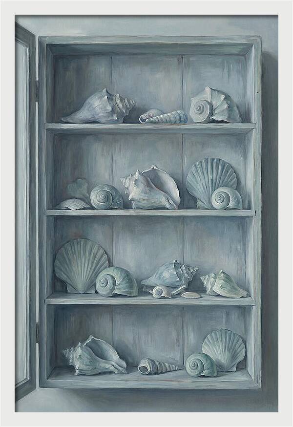 Collection Of Sea Shells