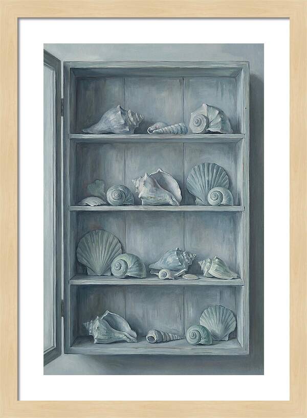 Collection Of Sea Shells