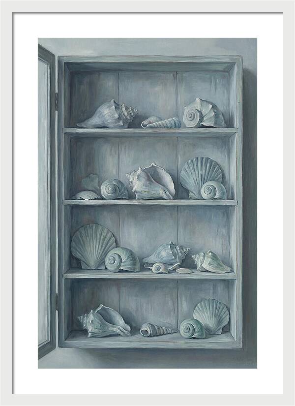 Collection Of Sea Shells