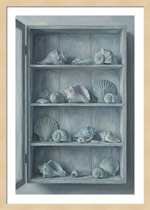 Collection Of Sea Shells