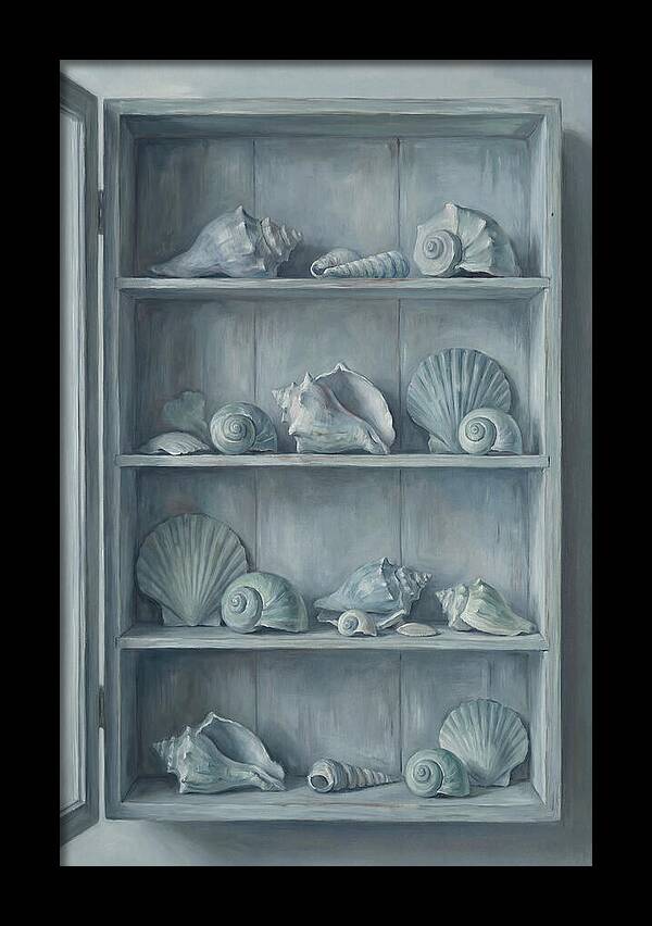 Collection Of Sea Shells