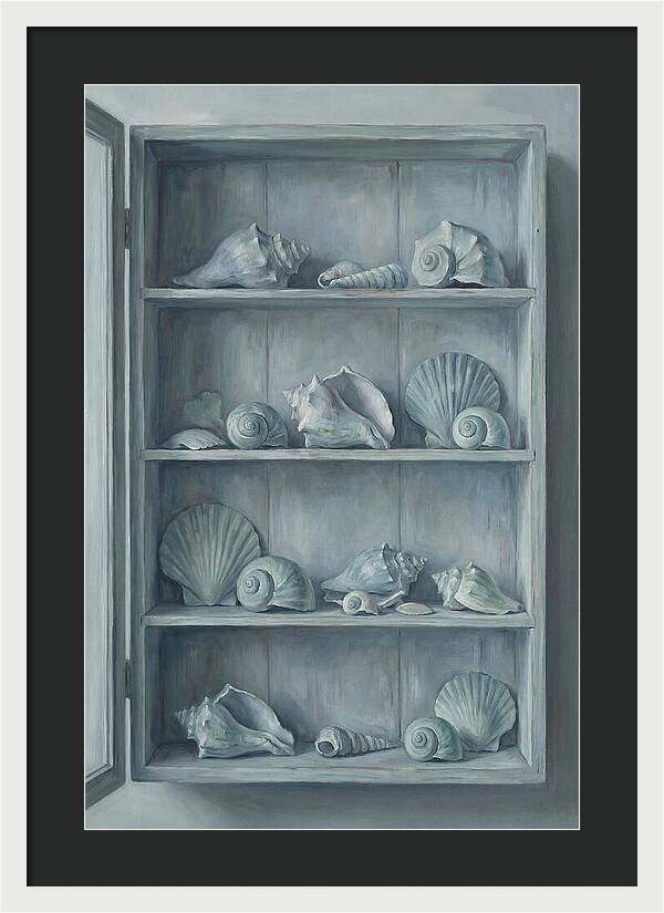 Collection Of Sea Shells