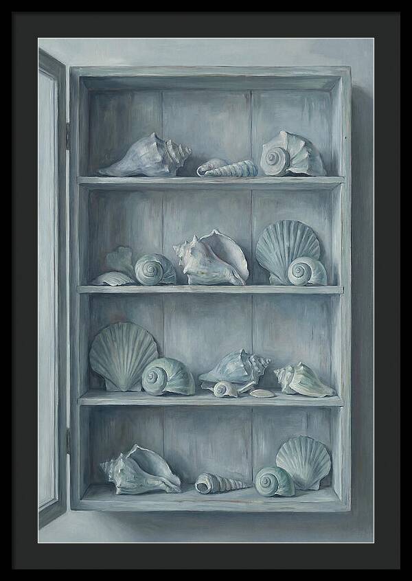 Collection Of Sea Shells