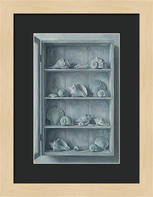 Collection Of Sea Shells