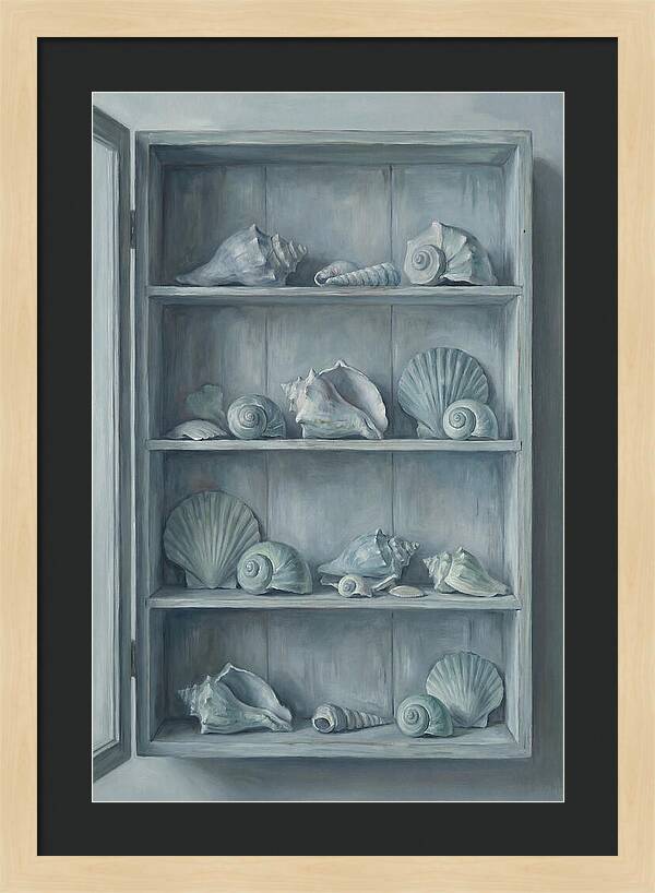 Collection Of Sea Shells