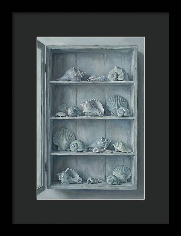 Collection Of Sea Shells