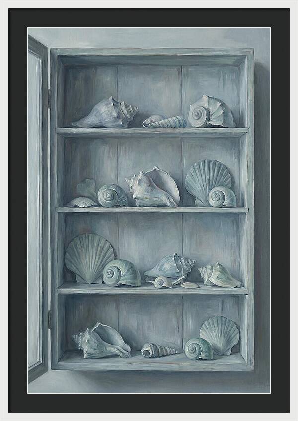 Collection Of Sea Shells