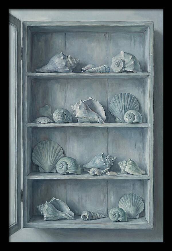 Collection Of Sea Shells