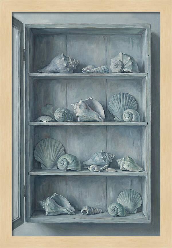 Collection Of Sea Shells