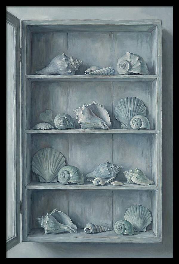 Collection Of Sea Shells