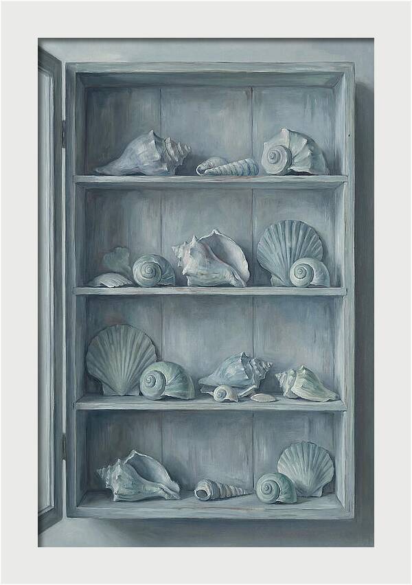 Collection Of Sea Shells