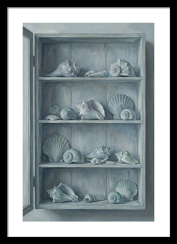 Collection Of Sea Shells
